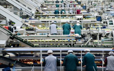 GS1’s GTIN Guidelines for Produce Packers: What Your Labeling Practices Need to Get Right